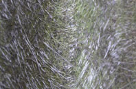 Penplas fibreglass roof work